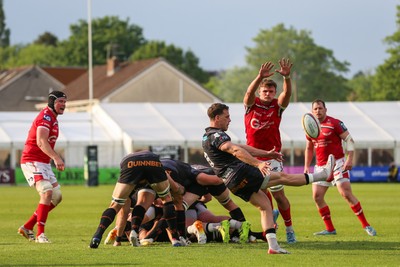 090526 - Ospreys v Scarlets - United Rugby Championship - Kieran Hardy of Ospreys kicks the ball under pressure from Taine Plumtree of Scarlets