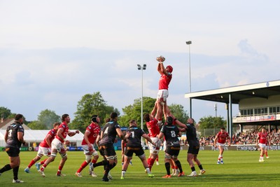 090526 - Ospreys v Scarlets - United Rugby Championship - Josh Macleod of Scarlets wins a lineout