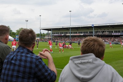 090526 - Ospreys v Scarlets - United Rugby Championship - General view of fans watching the action at the Brewery Field