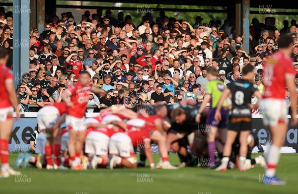 090526 - Ospreys v Scarlets - United Rugby Championship - Fans watch the game