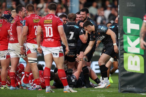 090526 - Ospreys v Scarlets - United Rugby Championship - Jac Morgan of Ospreys celebrates scoring a try with team mates