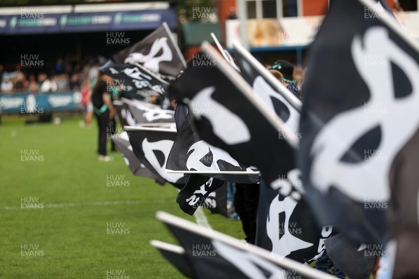 090526 - Ospreys v Scarlets - United Rugby Championship - Ospreys flags