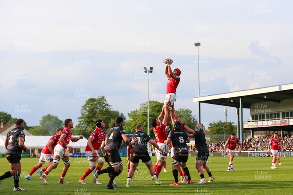 090526 - Ospreys v Scarlets - United Rugby Championship - Josh Macleod of Scarlets wins a lineout
