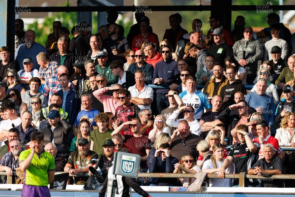 090526 - Ospreys v Scarlets - United Rugby Championship - Fans watch the match in the sun