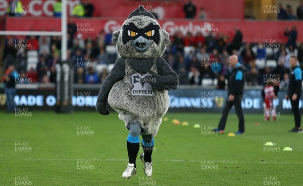 180519 - Ospreys v Scarlets - European Champions Cup Play off - Mascot Race