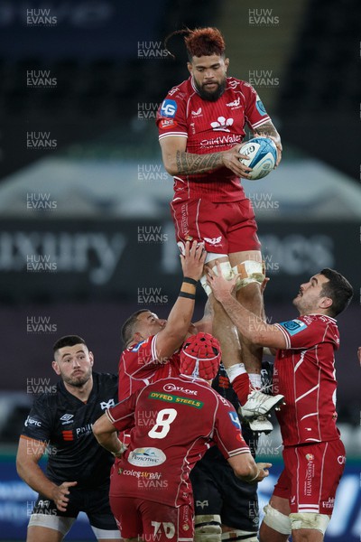 261222 - Ospreys v Scarlets - United Rugby Championship - Vaea Fifita of Scarlets wins a lineout