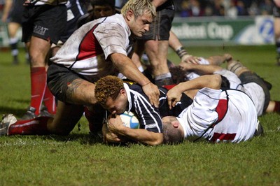 160104Neath Swansea Ospreys v Toulouse  Ospreys Dave Tiueti grounds the ball, but the referee had already blown the whistle to award a penalty  