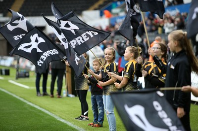 080918 - Ospreys v Toyota Cheetahs - Guinness PRO14 - Flag Bearers