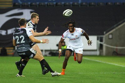 080918 - Ospreys v Edinburgh - GuinnessPro14 - William Small-Smith of Cheetahs chips the ball behind the Osprey defence 