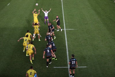 111025 - Ospreys v Zebre Parma - United Rugby Championship - Alessandro Ortombina of Zebre Parma wins the line out