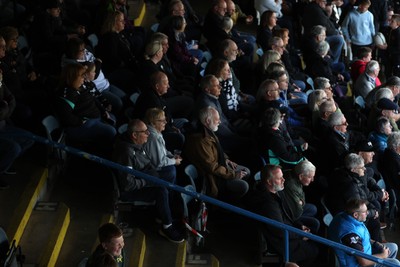 111025 - Ospreys v Zebre Parma - United Rugby Championship - Fans watch the game at Brewery Field