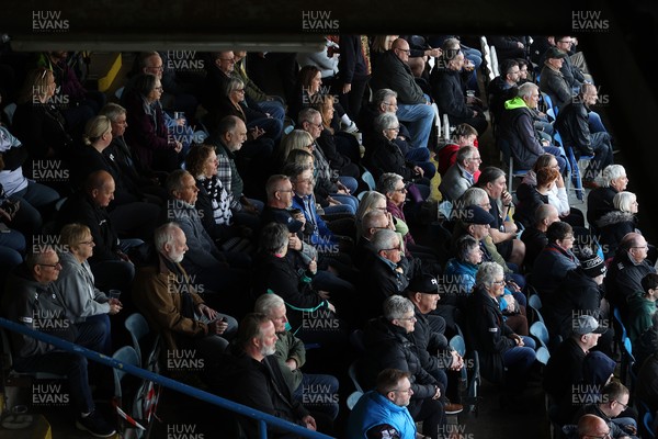 111025 - Ospreys v Zebre Parma - United Rugby Championship - Fans watch the game at Brewery Field