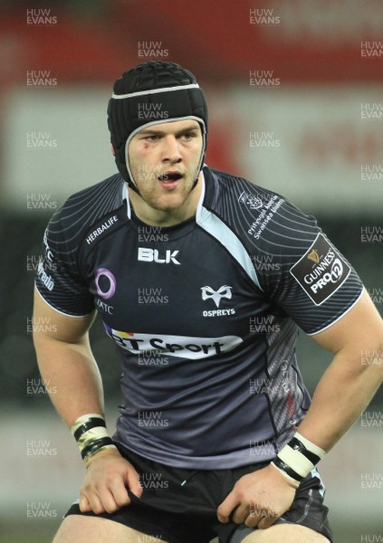 280315 - Ospreys v Zebre - GuinnessPro12 -Dan Lydiate of Ospreys