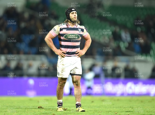 140117 - Pau v Cardiff Blues - European Rugby Challenge Cup - Josh Navidi of Cardiff Blues by Ben Evans/Huw Evans Agency