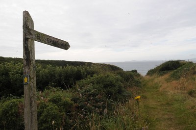 04.08.08 -  Pembrokeshire National Parks. 