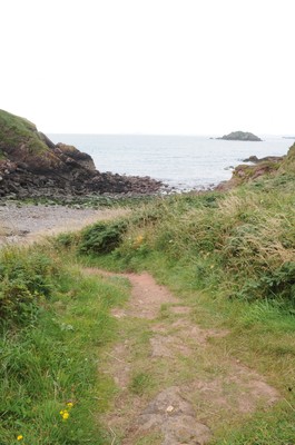 04.08.08 -  Pembrokeshire National Parks. 