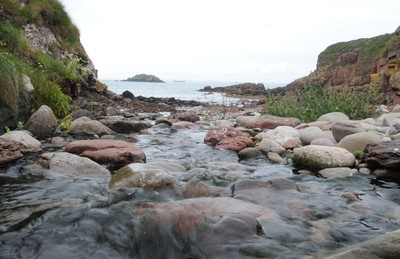 04.08.08 -  Pembrokeshire National Parks. 