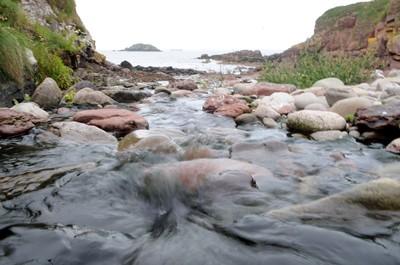 04.08.08 -  Pembrokeshire National Parks. 