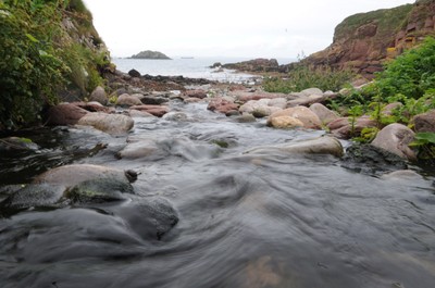 04.08.08 -  Pembrokeshire National Parks. 