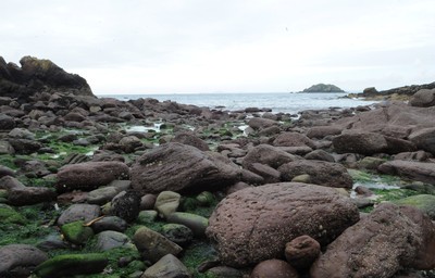 04.08.08 -  Pembrokeshire National Parks. 