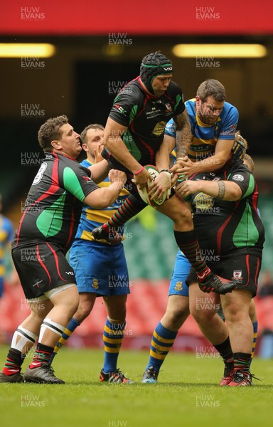 160417 - Penallta v Ystalyfera, WRU National Plate Final - Paul Davies of Ystalyfera takes the line out ball