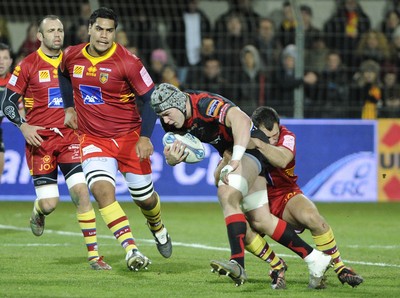 Perpignan v Dragons 140112