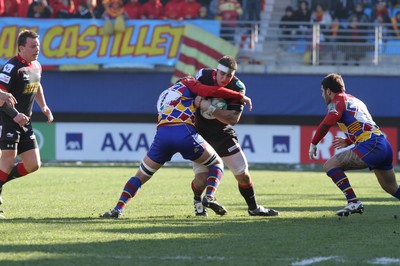 Perpignan v Scarlets 230111