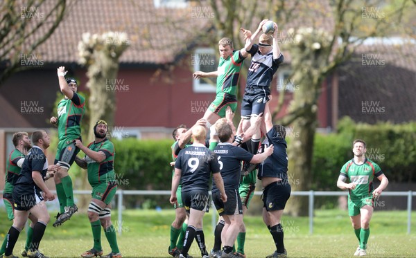 300416 - Pill Harriers v Abertillery Blaenau Gwent - SWALEC League 2 East -