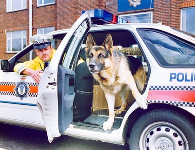 Police Dog 030992