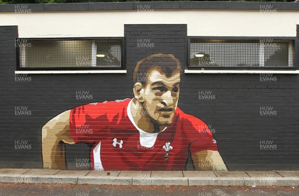 220616 - Artwork at Pontcanna Fields -Mural of Sam Warburton by artist Bryce Davies on the changing rooms at Pontcanna Fields, Cardiff