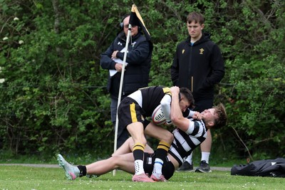 020526 - Ogmore Vale v Pontyclun - Admiral National League 4 East Central -  action between Ogmore Vale RFC and Pontyclun RFC (in white/black)