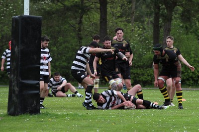 020526 - Ogmore Vale v Pontyclun - Admiral National League 4 East Central -  action between Ogmore Vale RFC and Pontyclun RFC (in white/black)