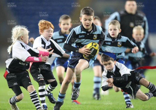 23.09.11 Cardiff Blues v Munster... Half Time Under 8's Tag, Pontypridd v Rumney. 