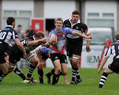 011114 - Pontypridd RFC v Bedwas RFC - Principality Premiership -Lewis I Williams of Pontypridd takes on Richard Powell(10) of Bedwas