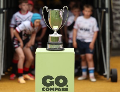 Pontypridd v Swansea 280624