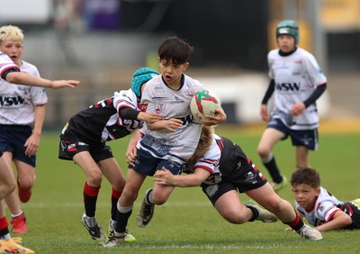 280426 - Pontypridd v Swansea, DC Thomas Cup Final - Pontypridd take on Swansea in the DC Thomas Cup Final