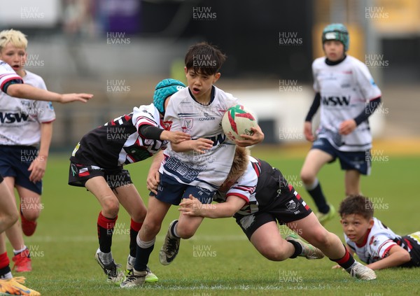 280426 - Pontypridd v Swansea, DC Thomas Cup Final - Pontypridd take on Swansea in the DC Thomas Cup Final