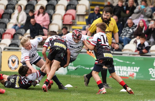 280426 - Pontypridd v Swansea, DC Thomas Cup Final - Pontypridd take on Swansea in the DC Thomas Cup Final
