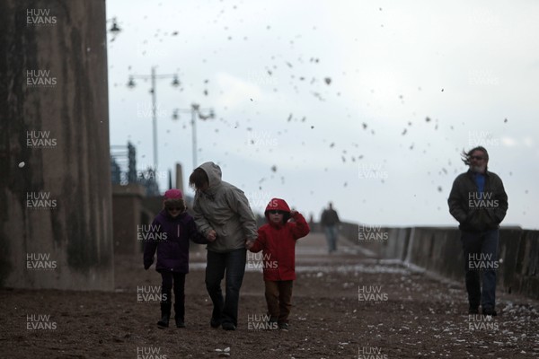 080214 - Weather - A family struggles walking as the high winds batter the Lighthouse at Porthcawl, South Wales