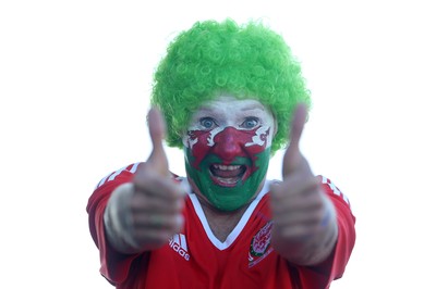 Portugal v Wales 060716