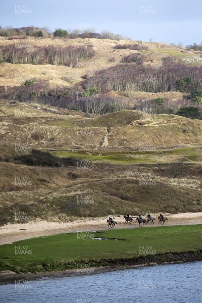 040220 - Picture shows Potters Corners leading the pack during their morning gallops at trainers Christian Williams' stables in Ogmore on Sea, South Wales