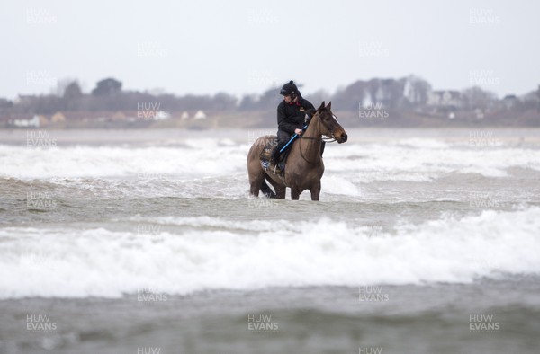 040220 - Picture shows Potters Corners during their morning gallops on the beach at trainers Christian Williams' stables in Ogmore on Sea, South Wales