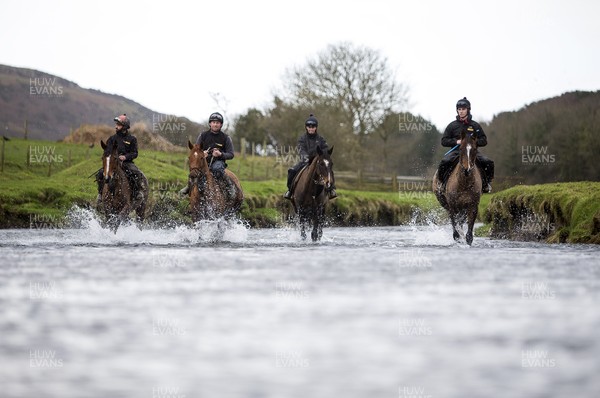 040220 - Picture shows Potters Corners (right) during their morning gallops walking through the river at trainers Christian Williams' stables in Ogmore on Sea, South Wales