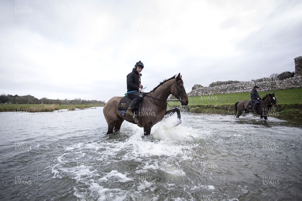040220 - Picture shows Potters Corners during their morning gallops walking through the river at trainers Christian Williams' stables in Ogmore on Sea, South Wales