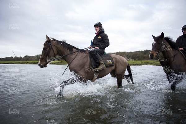 040220 - Picture shows Potters Corners during their morning gallops walking through the river at trainers Christian Williams' stables in Ogmore on Sea, South Wales