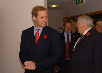 Prince William attends Wales v South Africa 081108