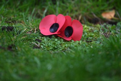 111125 - Remembrance Day - Picture shows poppy’s left at the Great War Memorial in Newport, St Woolos Cemetery for Remembrance Day