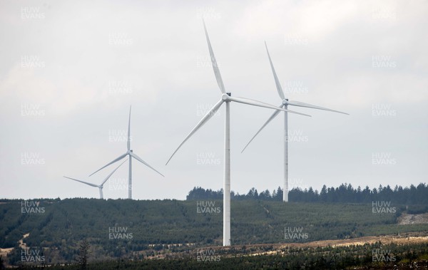 220422 - Picture shows wind turbines on forestry land in South Wales, UK The renewable energy is key for providing green energy to homes as the Welsh Government pushes to net zero carbon emissions by 2050