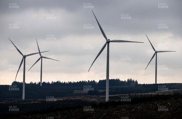 220422 - Picture shows wind turbines on forestry land in South Wales, UK The renewable energy is key for providing green energy to homes as the Welsh Government pushes to net zero carbon emissions by 2050