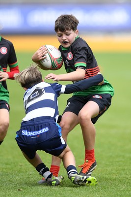 210525 - Rhymney Valley and Caerphilly District v Pembs Schools  - WSRU Junior Group - U11s DC Thomas Bowl Final - 